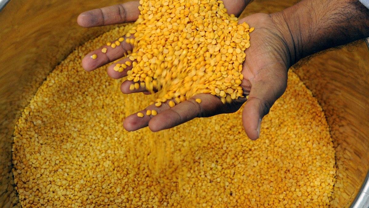 सूखे के कारण चावल और तूर दाल की कीमतें नई ऊंचाई पर पहुंच गईं